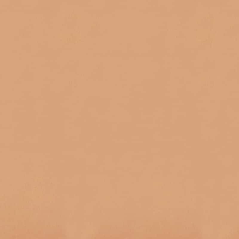 TruPedic Porch & Den Hansen Full-size 5-inch Futon Mattress - Frame Not Included