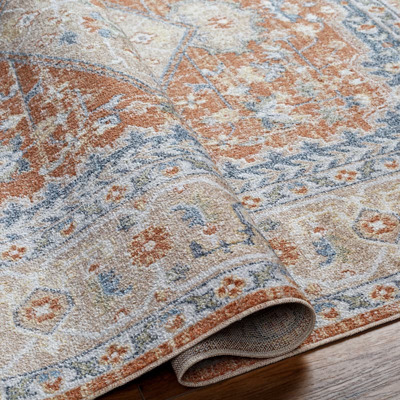 Livabliss Lillian Transitional Washable Area Rug