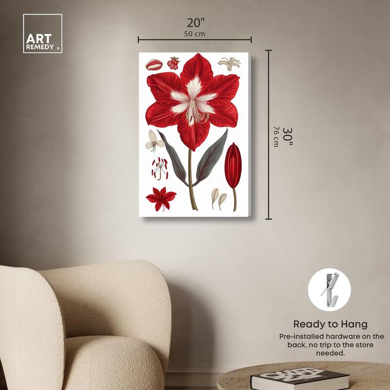 Amaryllis Anatomy Canvas by Art Remedy, Gallery Wrapped