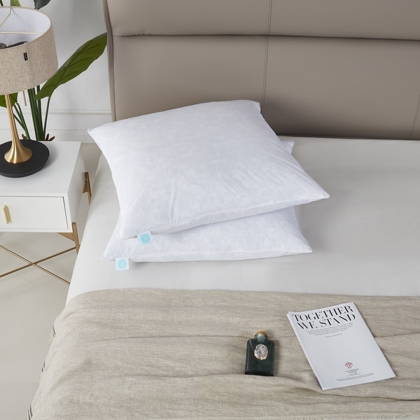Martha Stewart European Square 26 x 26 Inch Feather Pillows Set