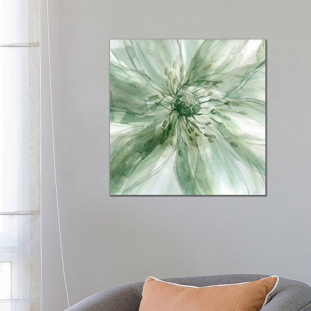 iCanvas "Macro Sage Flower I" by Carol Robinson Canvas Print
