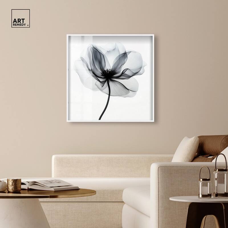 Midania I Shadowbox by Art Remedy