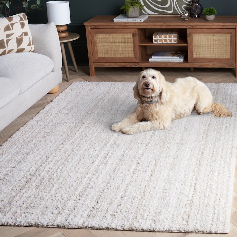 SAFAVIEH Everett Shag Dida 1-inch Thick Rug