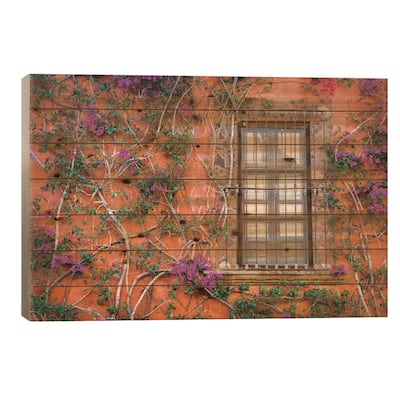 View of wall and window covered by Bougainvillea, San Miguel de Allende, Mexico Print On Wood by Panoramic Images - Multi-Color