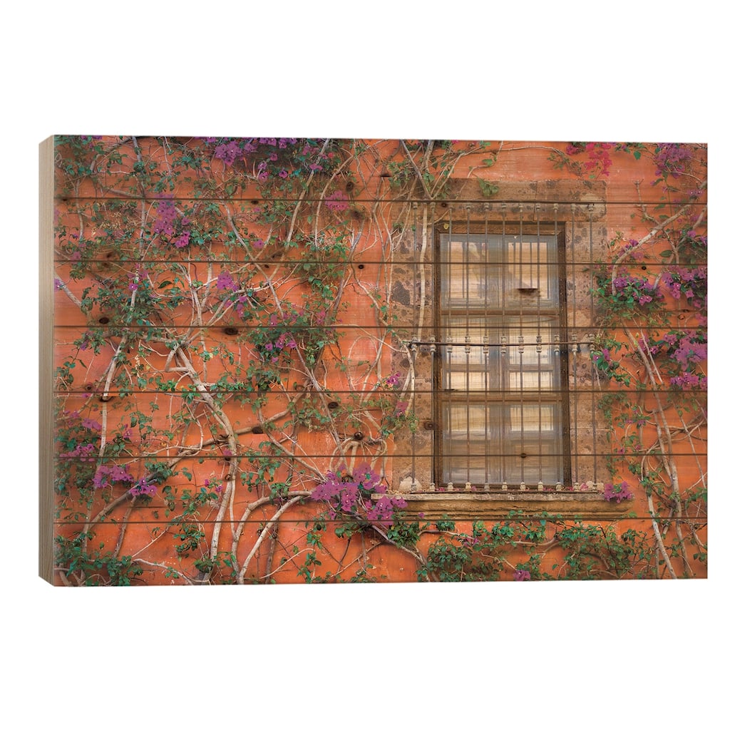 View of wall and window covered by Bougainvillea, San Miguel de Allende, Mexico Print On Wood by Panoramic Images - Multi-Color