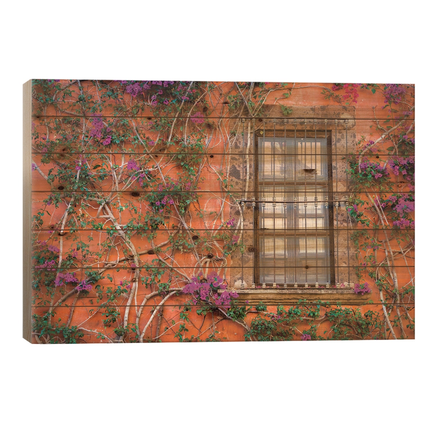 View of wall and window covered by Bougainvillea, San Miguel de Allende, Mexico Print On Wood by Panoramic Images - Multi-Color