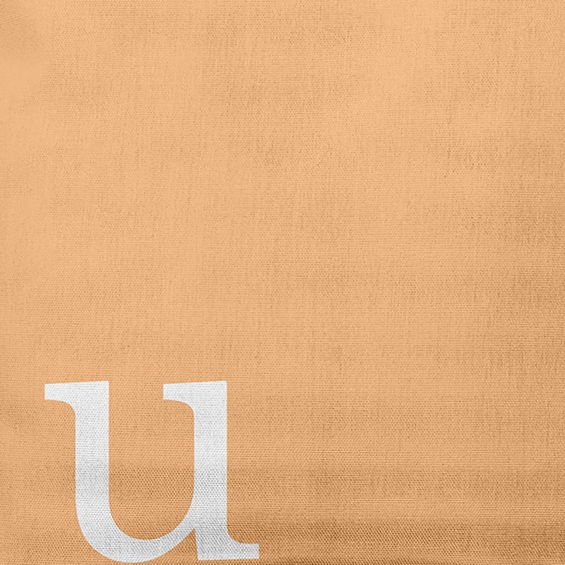 Modern Monogram Decorative Throw Pillow