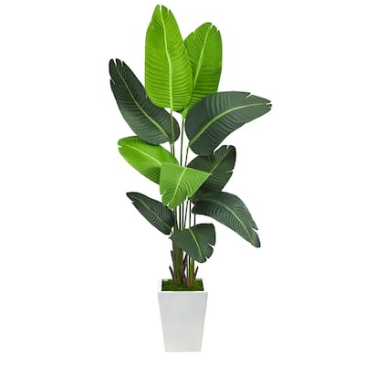 5.5' Travelers Palm Artificial Tree in White Metal Planter - 15"