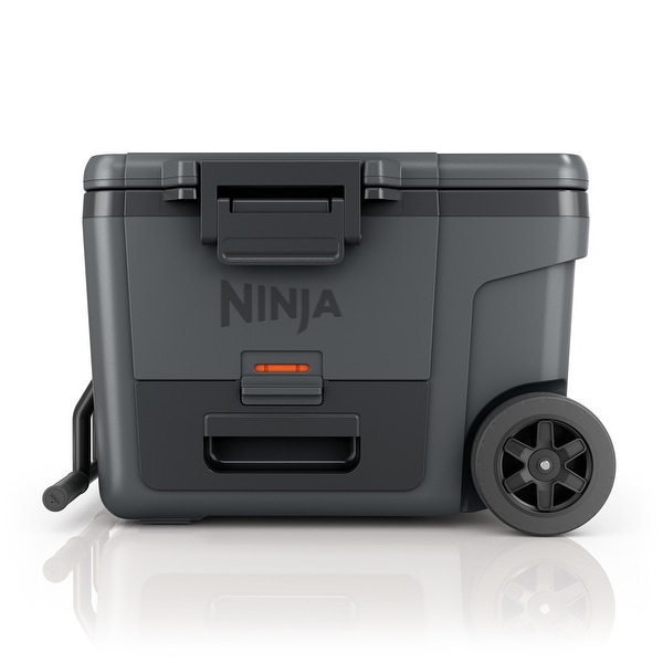 Ninja-FrostVault-45-qt.-