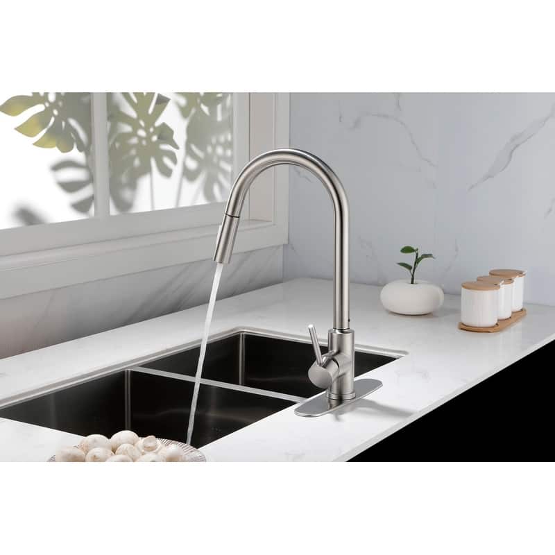 Kitchen Faucet with Pull Down Sprayer