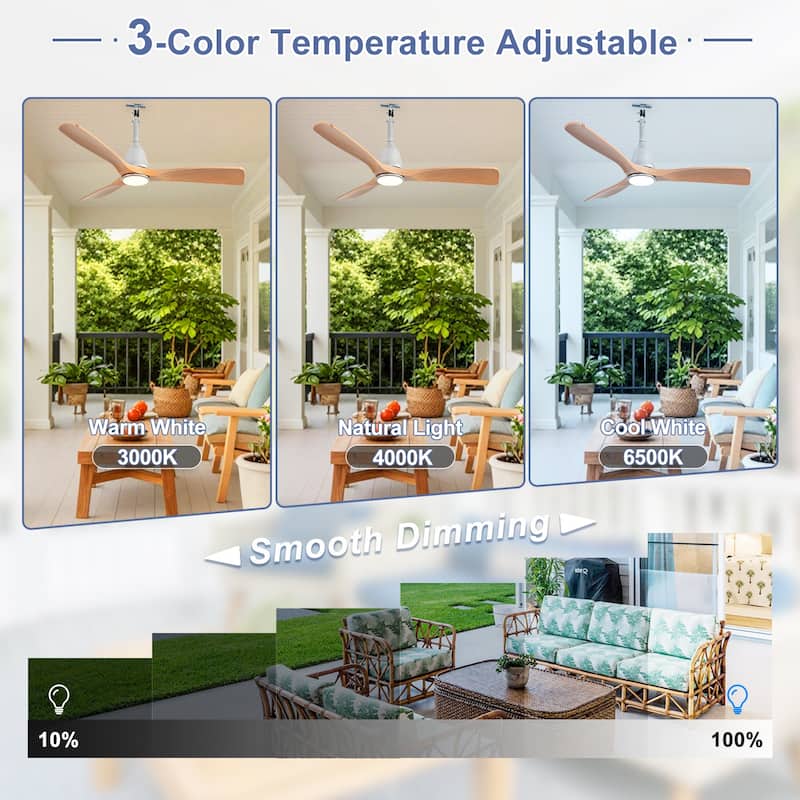 Outdoor Ceiling Fan with Light: Plug-in Hanging Fan, Remote App Control, 3CCT, 6-Speed