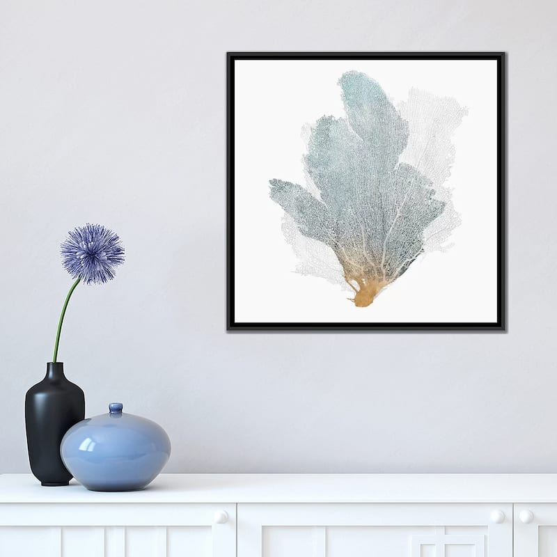 iCanvas "Delicate Coral II " by Isabelle Z Framed Canvas Print