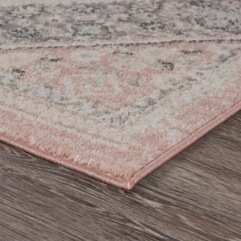 Sevita Soft Pink and Gray Oriental Area Rug