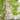 2 Packs 86.7" x 19.7" Metal Garden Trellis Metal Fence Trellis
