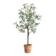 preview thumbnail 1 of 3, Uttermost Olea Potted Olive Tree