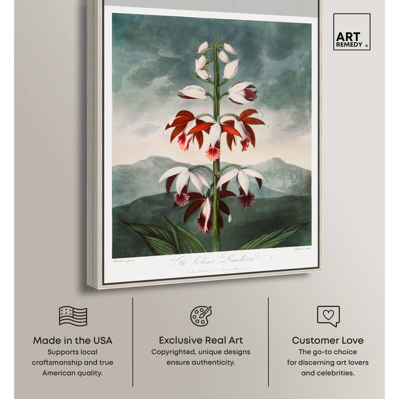 The China Limodoron 1807 Canvas by Art Remedy