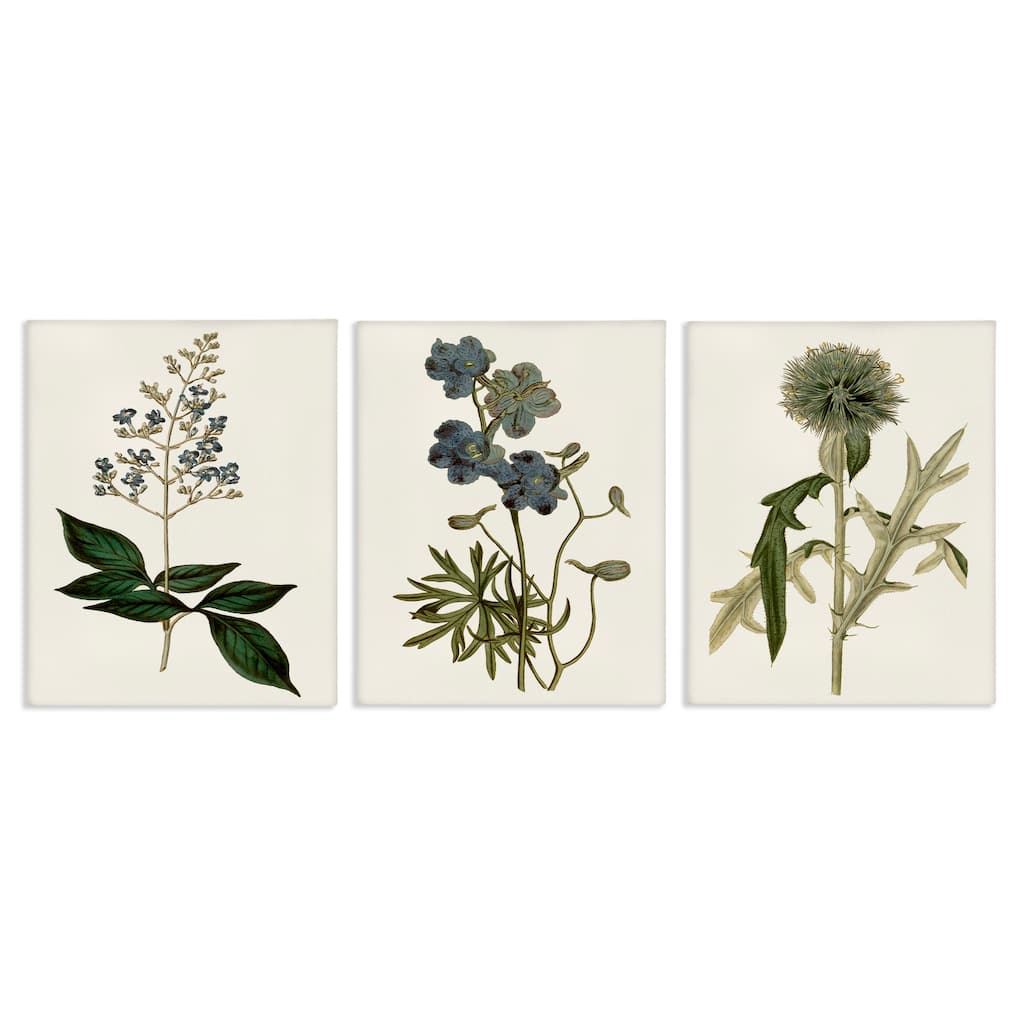 Stupell Vintage Blue Botanical Flowers on Beige, 3pc Multi Piece Canvas Wall Art Set