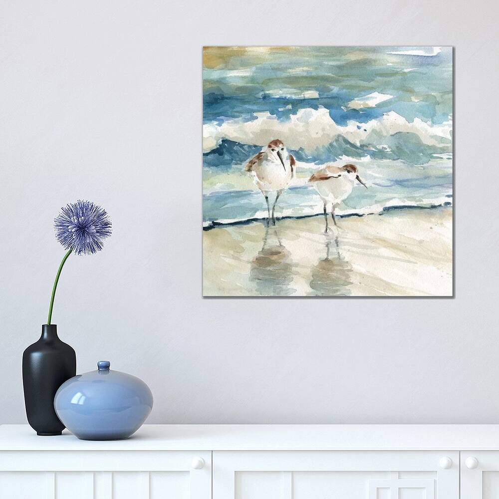 iCanvas "Beach Birds" by Carol Robinson Canvas Print