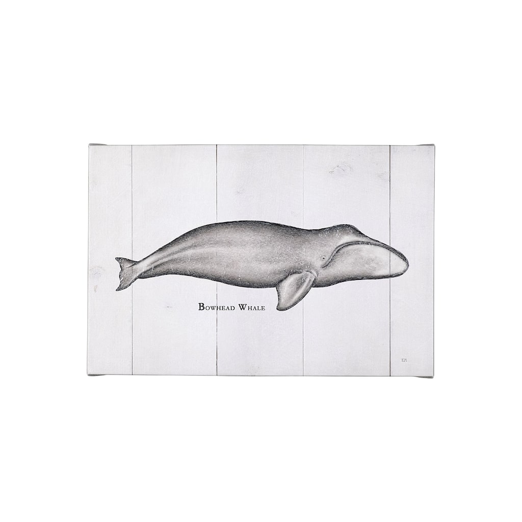 Bowhead Whale (30 x 20) Canvas Art Print