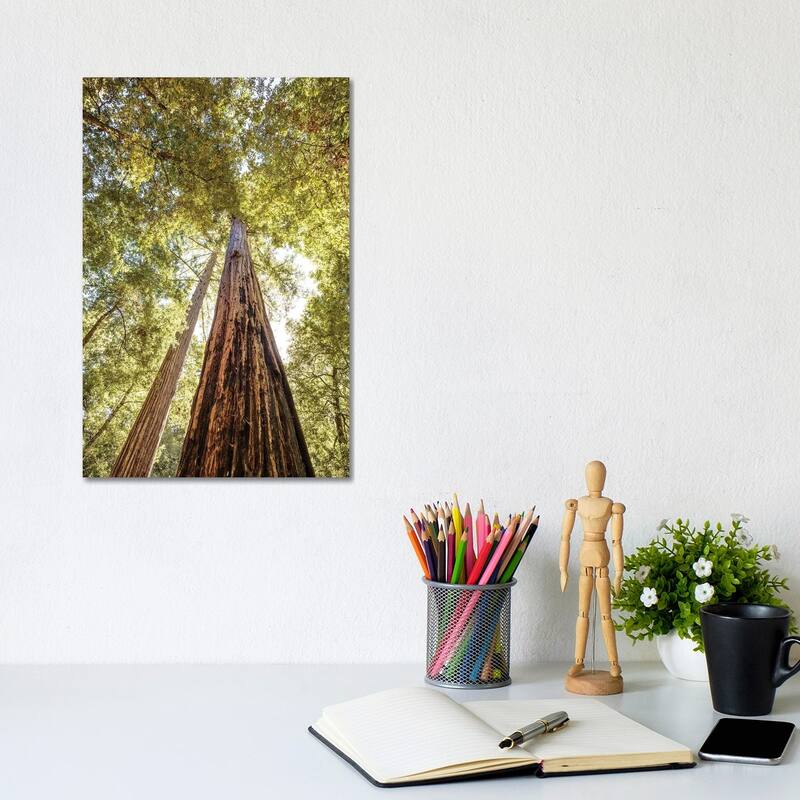 iCanvas "The Tallest Redwoods" by Joseph S. Giacalone Canvas Print - 12x8x0.75