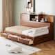 Option Walnut