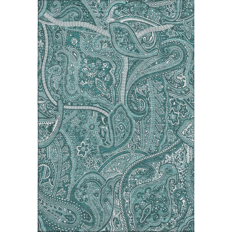 Premium Washable Super Soft Traditional Paisley Mayfield Rug