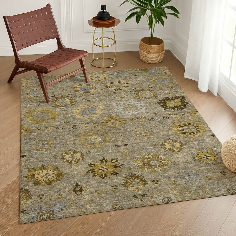 Machine Washable Indoor/ Outdoor Vintage Traditional Chantille Rug