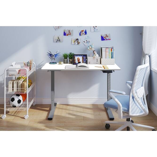 Electric Standing Desk, Dual Motor Adjustable 48x24 Home Workstation - Grey+White
