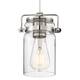 Option Polished Nickel / Clear