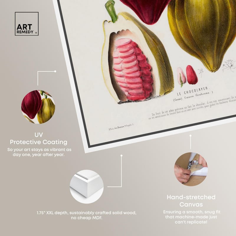 Cocoa Cacao by Etienne Denisse Canvas by Art Remedy