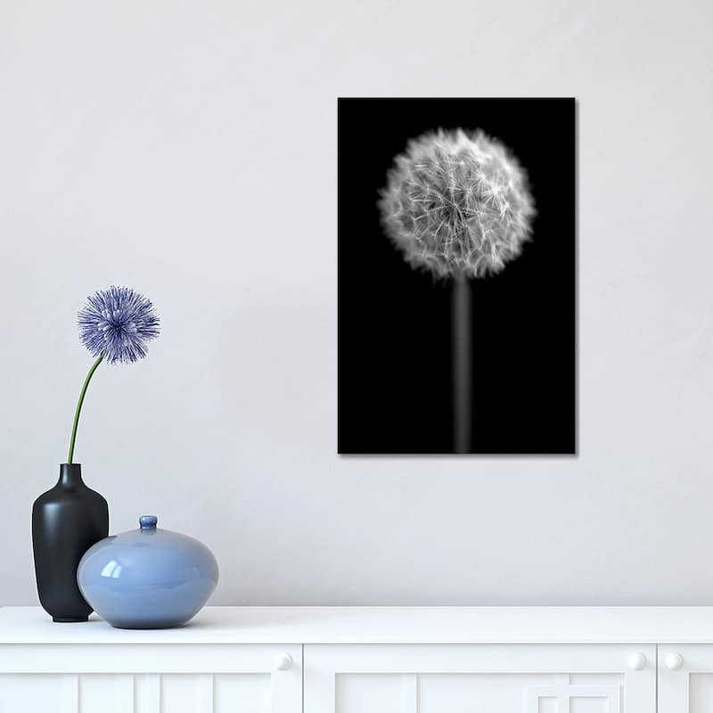 iCanvas "B&W Dandelion On Black Portrait" by Tom Quartermaine Canvas Print - 18x12x1.5