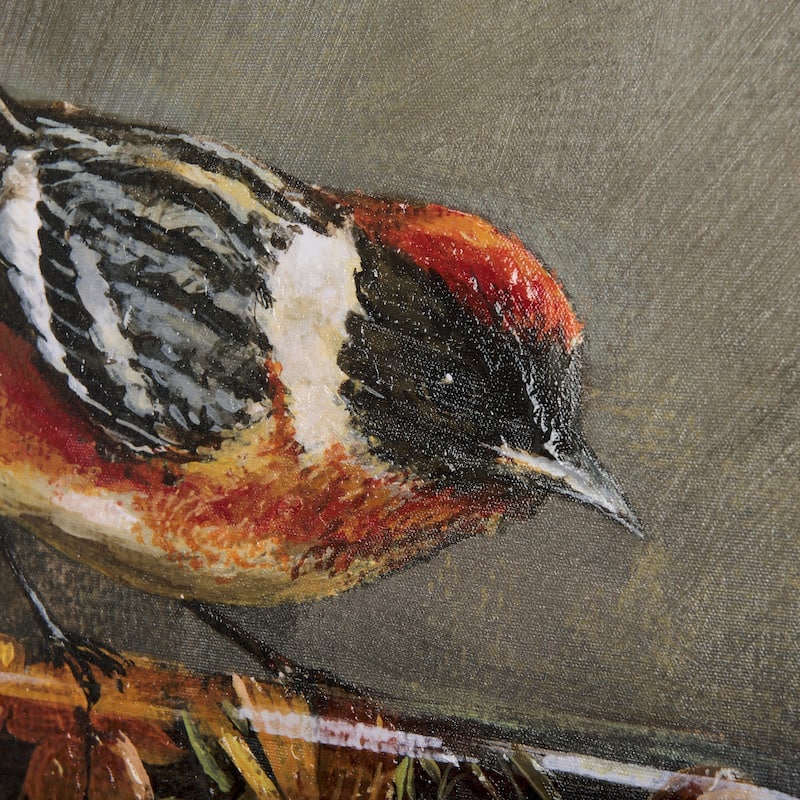 Graceful Poise III (Bay-Breasted Warbler) Canvas Art Print