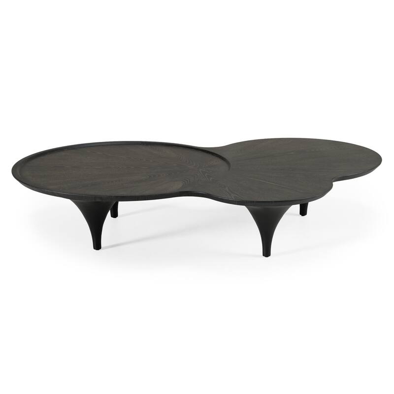 Modrest Beulah Modern Free Form Black Ash Coffee Table