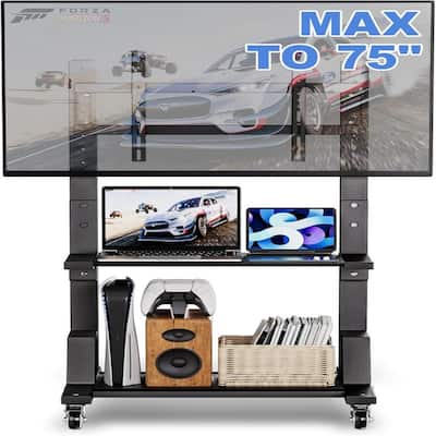 Rolling TV Stand with Large Storage