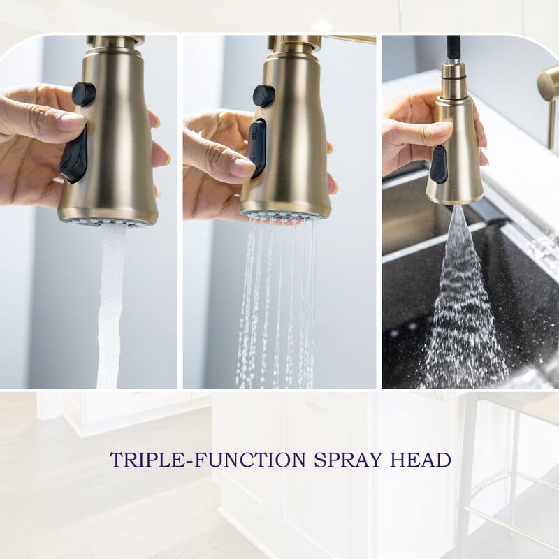 Wall Mounted 3-Way Black/Gold Rotary Kitchen Faucet with Pull Down Sprayer In Stainless Steel