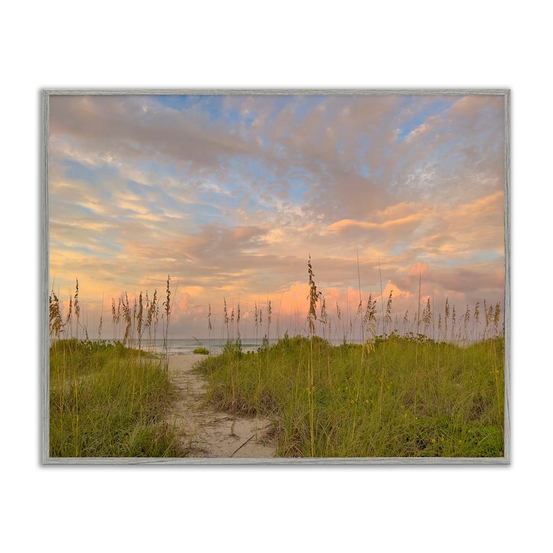 Stupell Serene Coastal Path Grasses Framed Giclee Art Design By Mary Lou Johnson - 14 x 11 - Grey