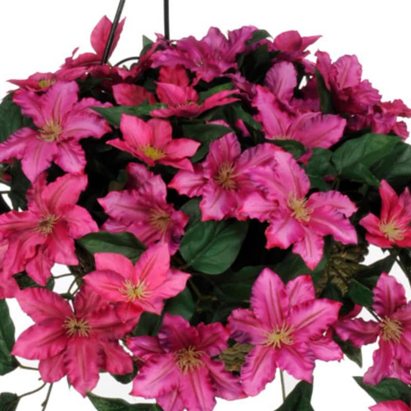 Faux Pink Clematis Hanging Basket