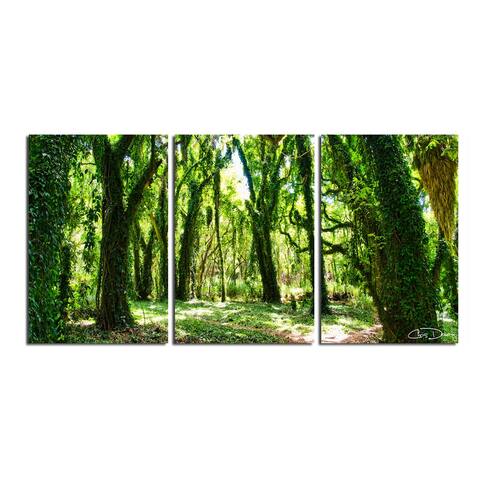 Ready2HangArt 'Mystic Forest' 3-Piece Wrapped Canvas Wall Art Set