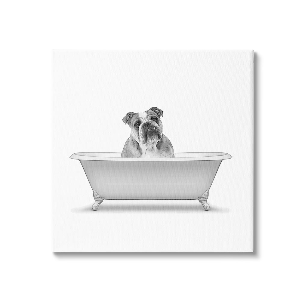Stupell English Bulldog Dog Bath Tub Stretched Canvas Wall Art, Design by Annalisa Latella