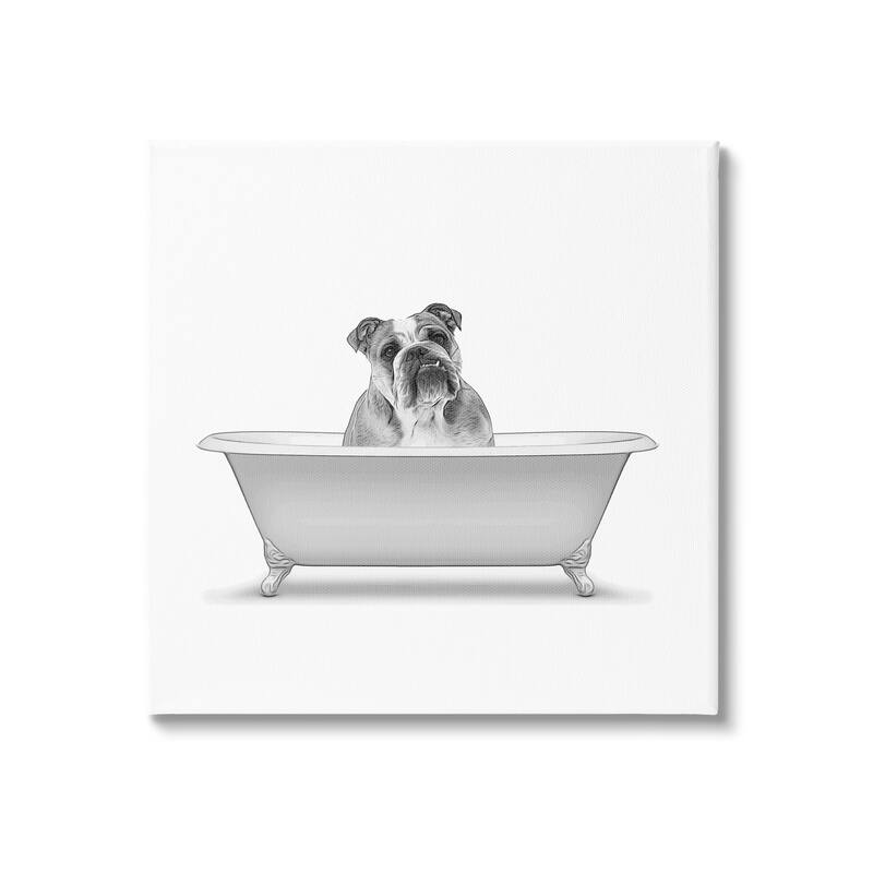 Stupell English Bulldog Dog Bath Tub Stretched Canvas Wall Art, Design by Annalisa Latella - 24 x 24
