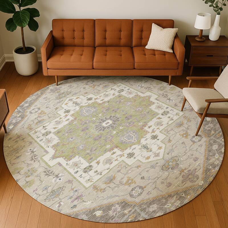 Machine Washable Indoor/ Outdoor Traditional Kolkata Chantille Rug
