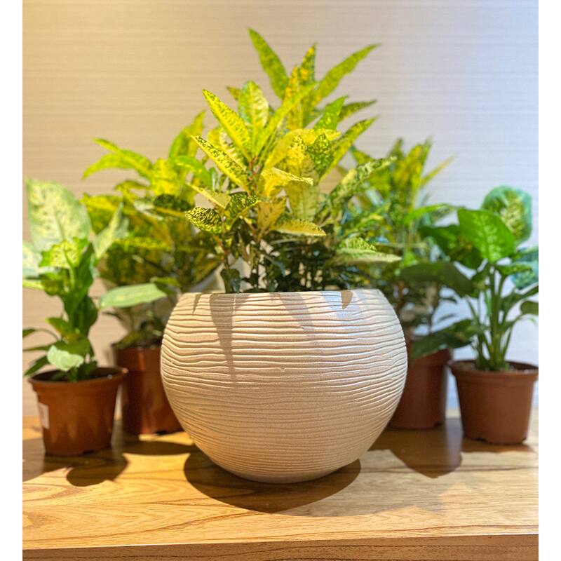 Floridis Florence Planter