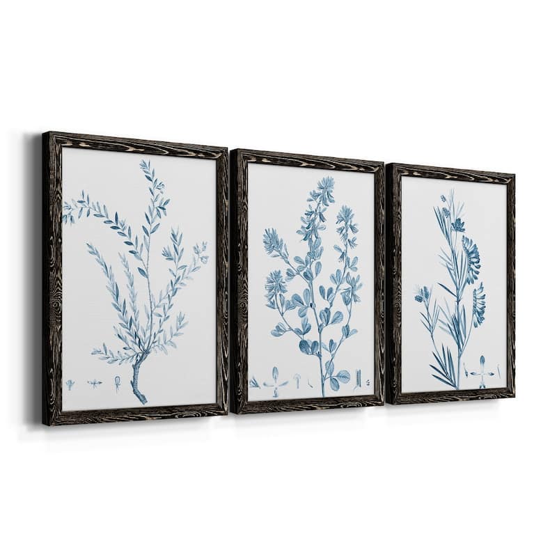 Antique Botanical in Blue VII-Premium Framed Canvas - Ready to Hang - Multi-Color