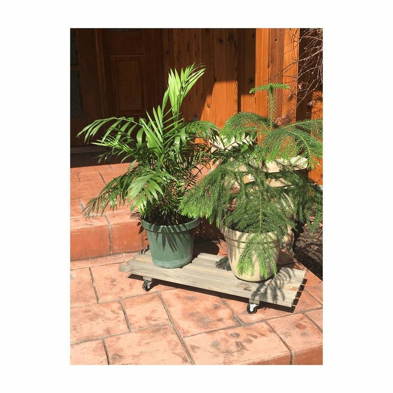 11.5" x 31" Gray Rectangle Wooden Indoor Plant Caddy - 31."Lx11.5"Wx3.4"H