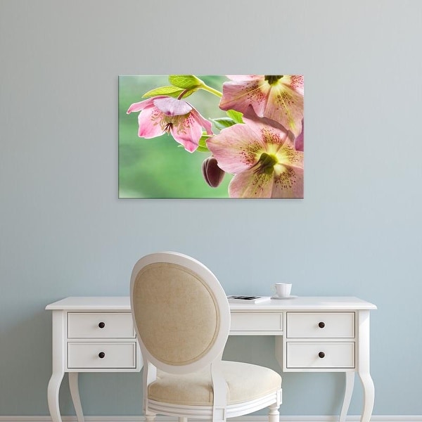 Easy Art Prints Jaynes Gallery's 'Close