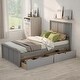 preview thumbnail 13 of 20, Twin Platform Storage Kids Bed with 2-Drawers, Sturdy Wood Frame, Space-Saving, Espresso