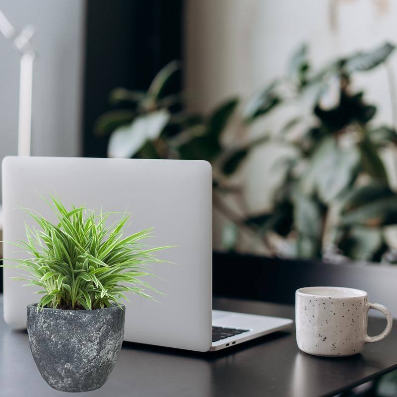 5 inch Ceramic Flower Planter Pot