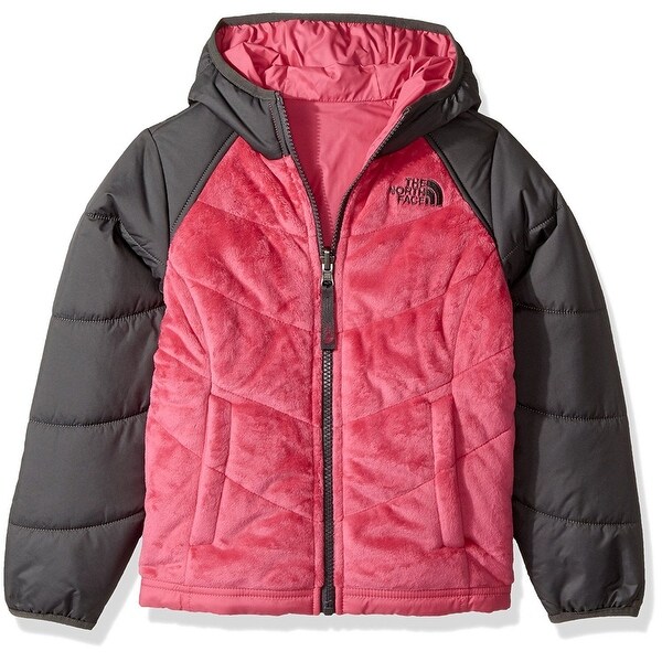 north face perseus