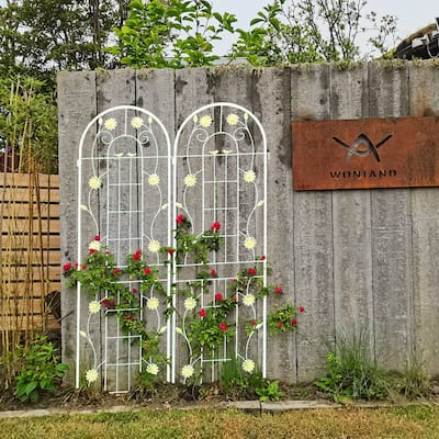 4 Pack Metal Garden Trellis 71" x 19.7" Rustproof Trellis for Climbing Plants Outdoor Flower Support White