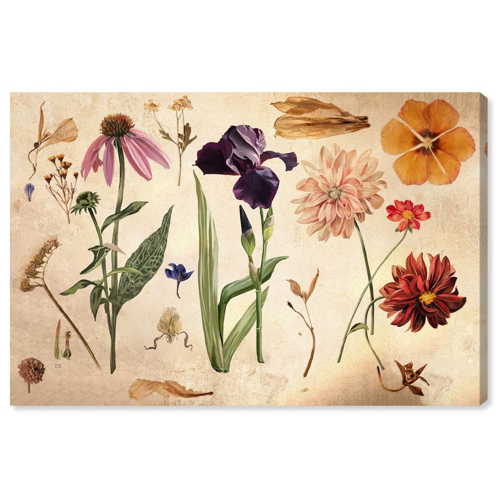 Floral Selection II Canvas by Art Remedy, Gallery Wrapped